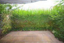 Terrasse Renovierte 2-ZW mit Terrasse, Gartenanteil, EBK und TG-Stellplatz in sch�ner Wohnlage